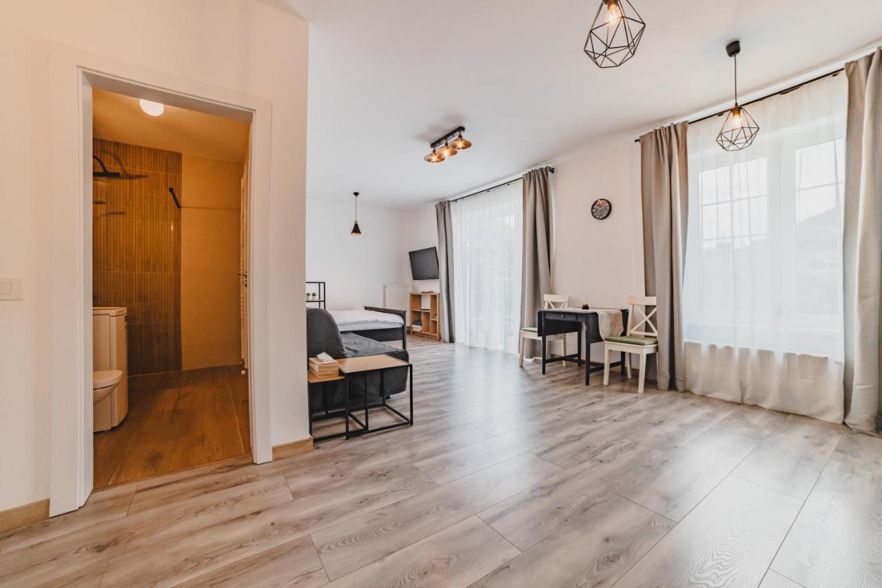 Schiller Studio 64 - Free Private Parking Brașov Exterior foto